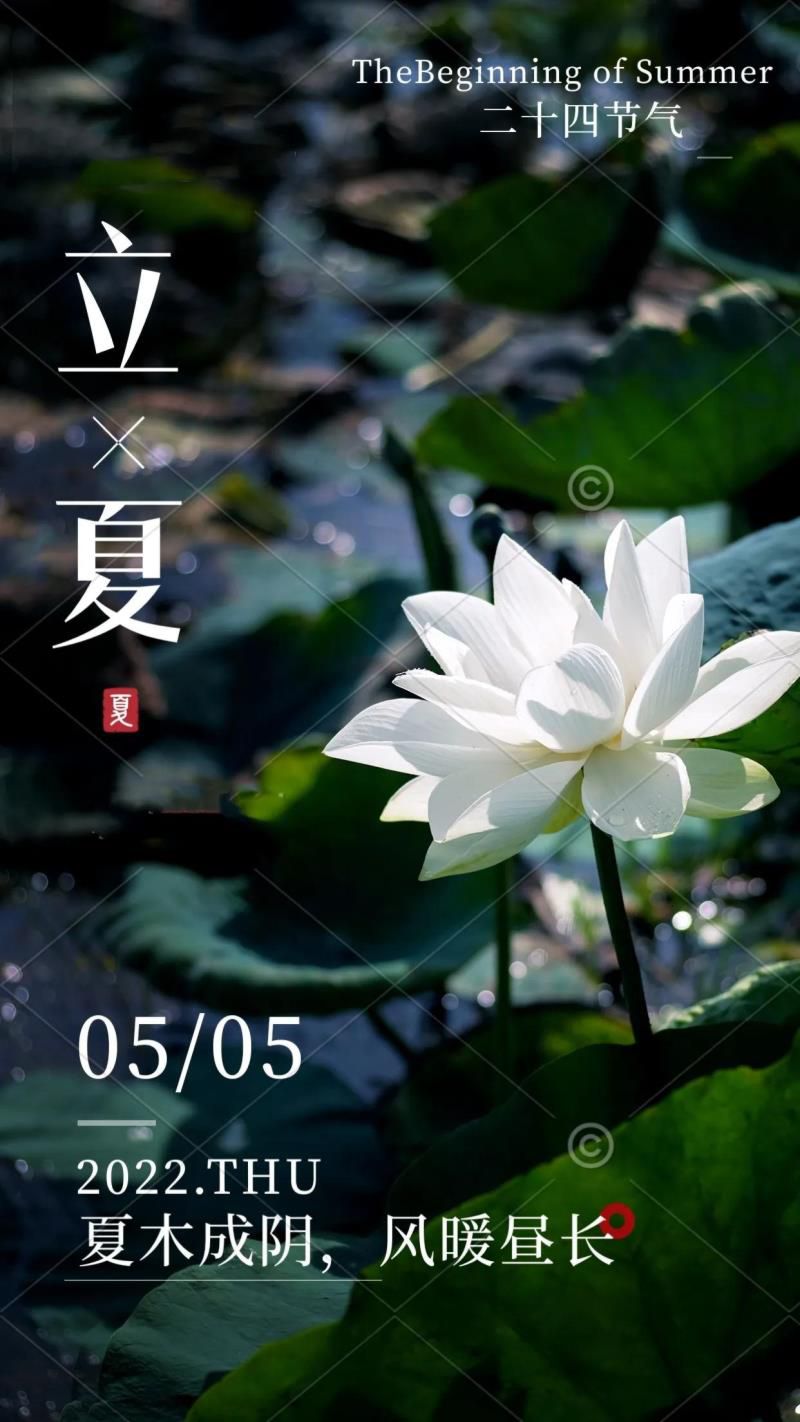 2022年05月日历,2022年农历五月是什么月