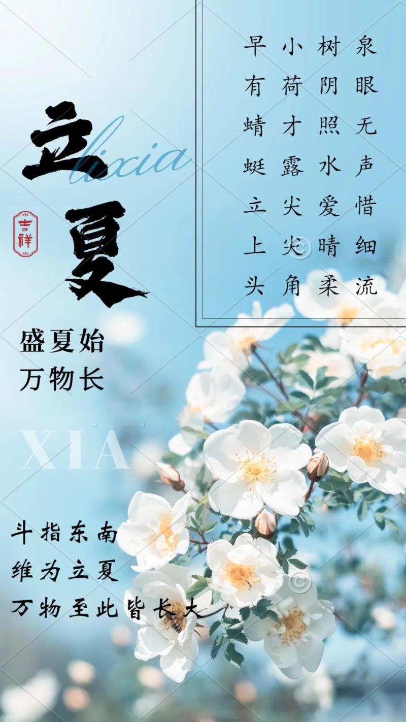 2022年05月日历,2022年农历五月是什么月