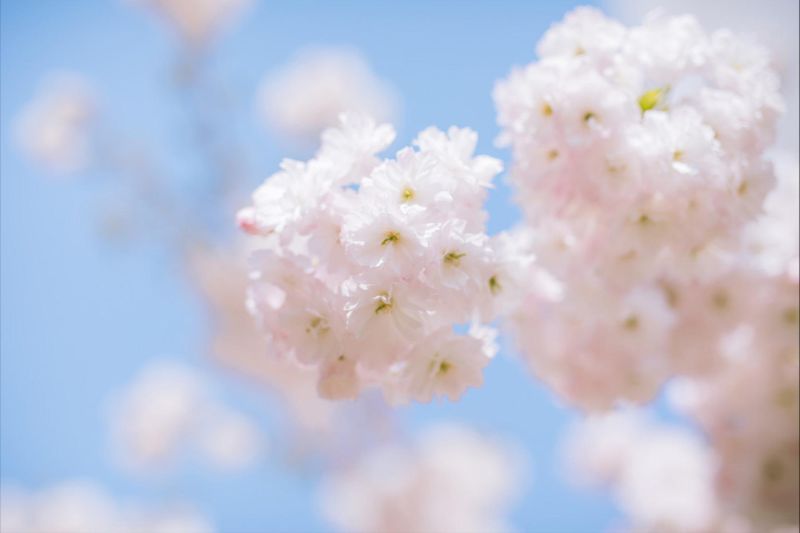 双鱼座本月运势,双鱼座最近要发生的事