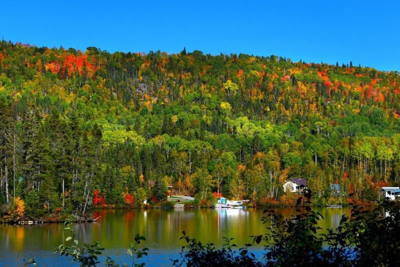 射手座今日运势查询,射手座未来三天运势