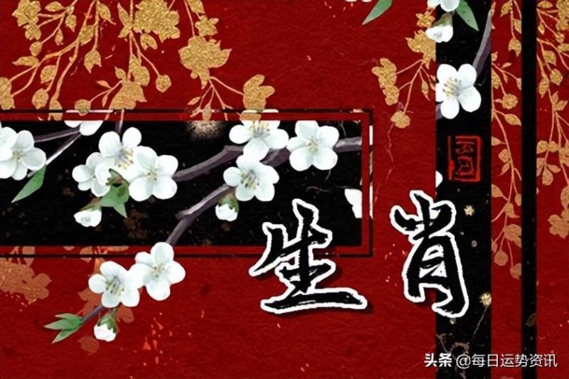今天属虎的财运如何2020， 今天属虎的财运如何
