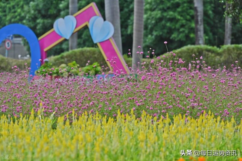 今天属虎的财运如何2020， 今天属虎的财运如何