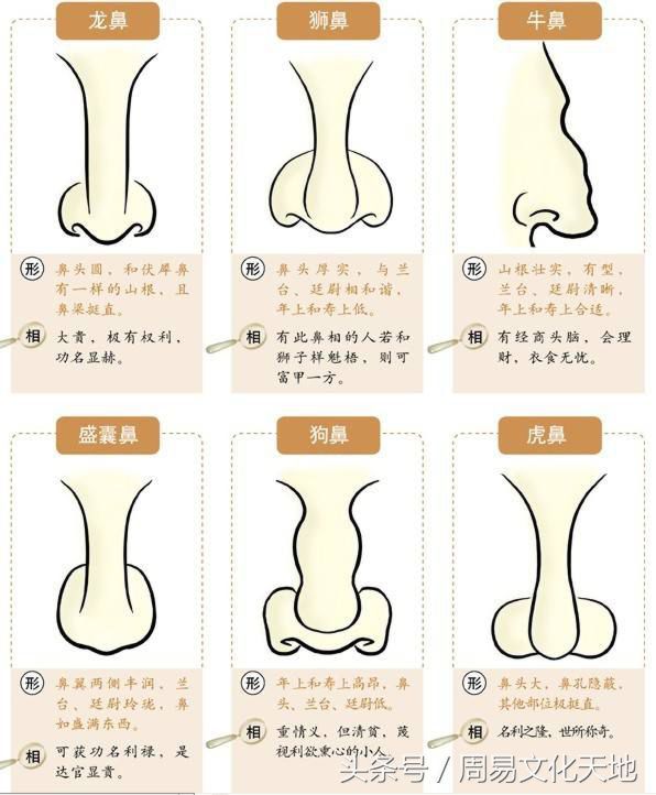 易经面相学看五官图解，易经看面相算命图解