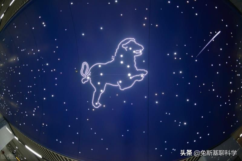 狮子座是什么星象的星座，十二星座最怕什么动物?