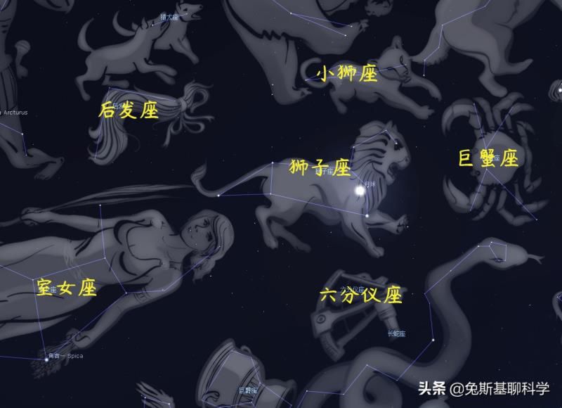 狮子座是什么星象的星座，十二星座最怕什么动物?