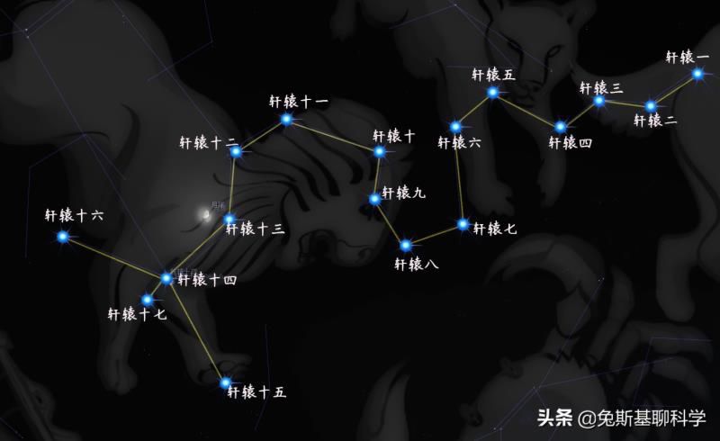 狮子座是什么星象的星座，十二星座最怕什么动物?