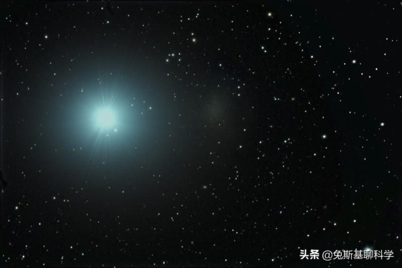 狮子座是什么星象的星座，十二星座最怕什么动物?