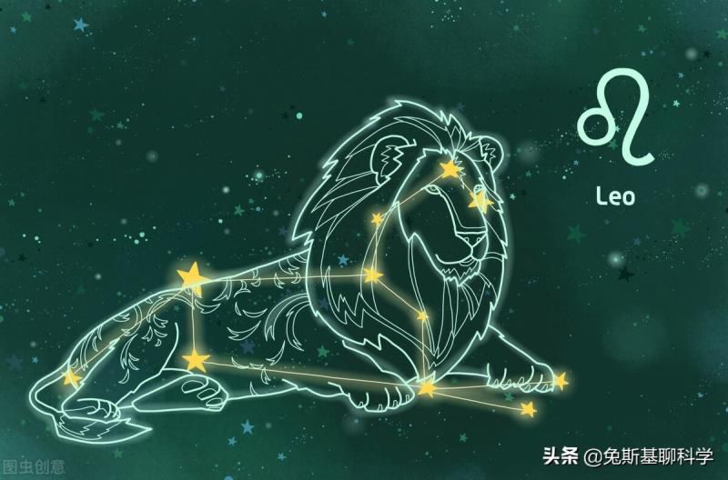 狮子座是什么星象的星座，十二星座最怕什么动物?