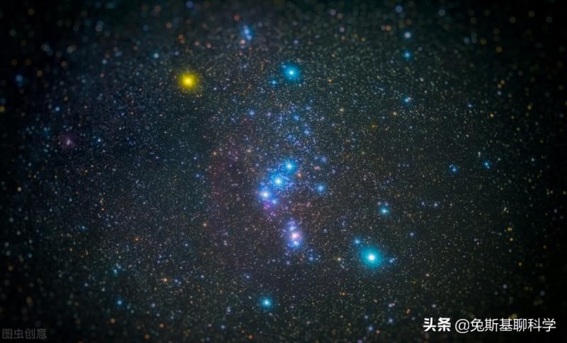 狮子座是什么星象的星座，十二星座最怕什么动物?