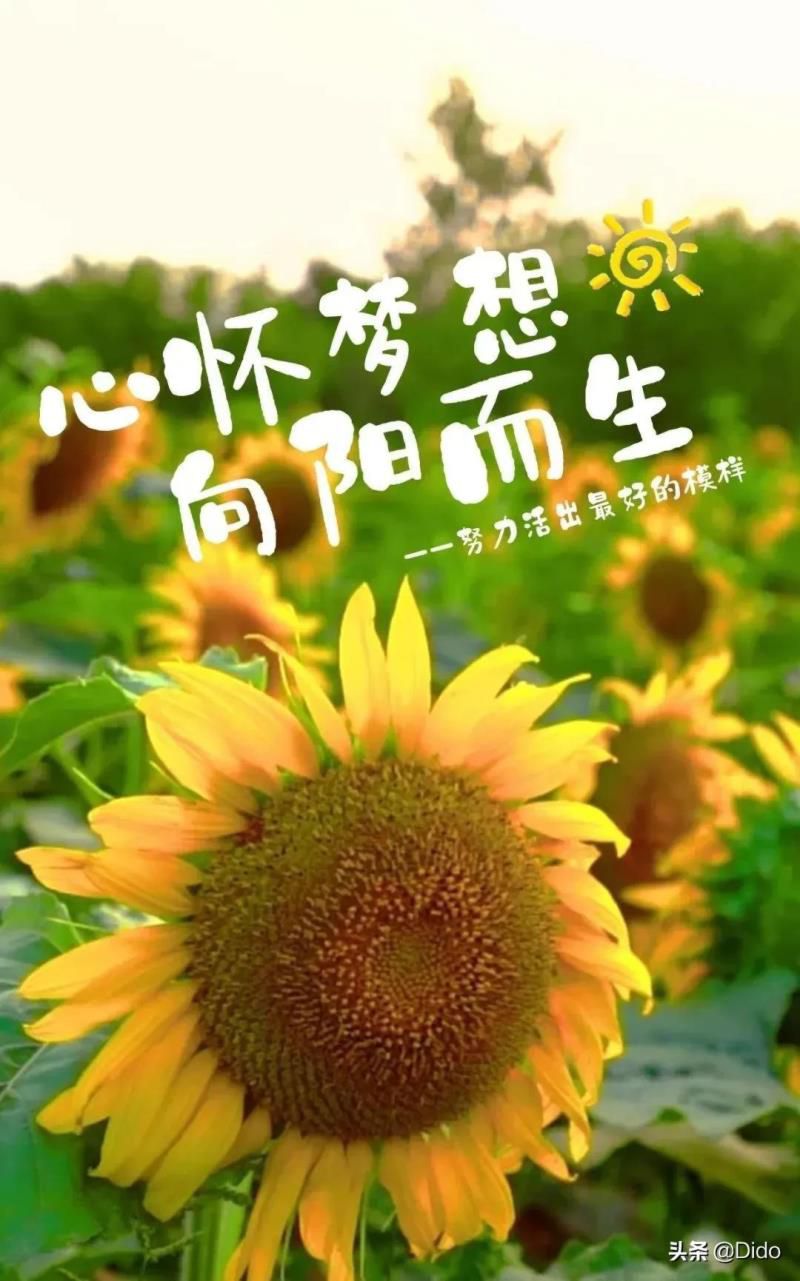 2022年5月19日黄历查询，2021年农历5月19日黄道吉日查询