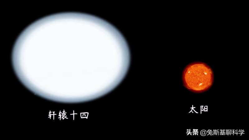 狮子座是什么星象的星座，十二星座最怕什么动物?