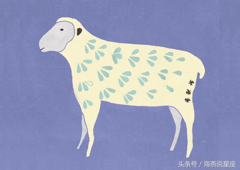十二生肖喜欢什么天气？生肖猴竟然喜欢夜晚！