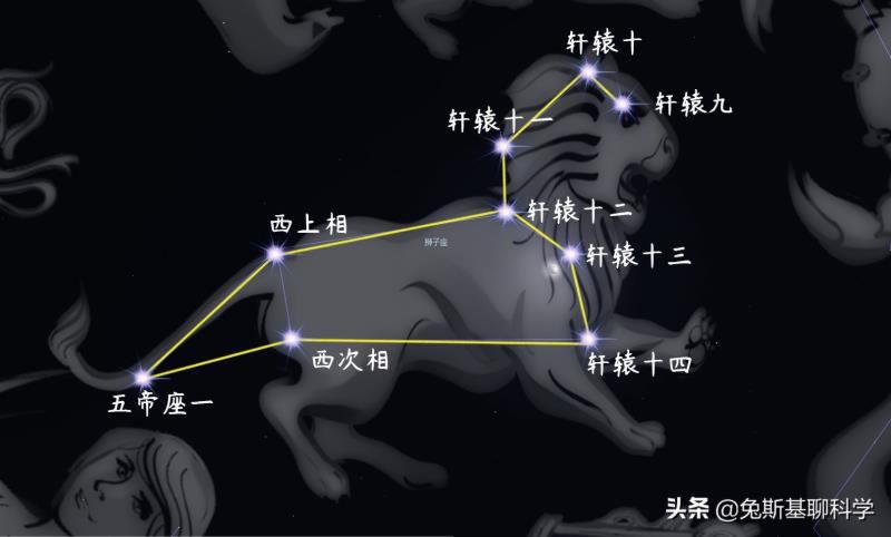 狮子座是什么星象的星座，十二星座最怕什么动物?