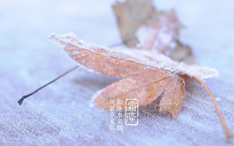 10月30日出生的人很可怕九月，天蝎座几号出生最厉害
