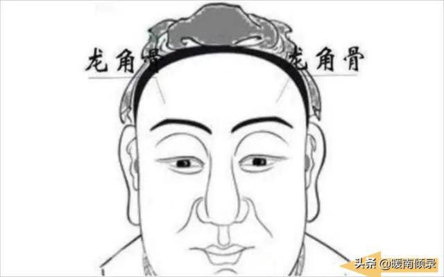 伏羲骨有几种图片，伏羲骨与凸额头区别