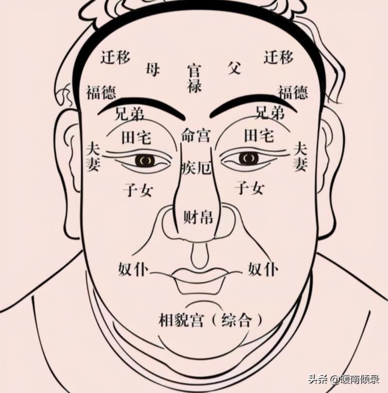 伏羲骨有几种图片，伏羲骨与凸额头区别