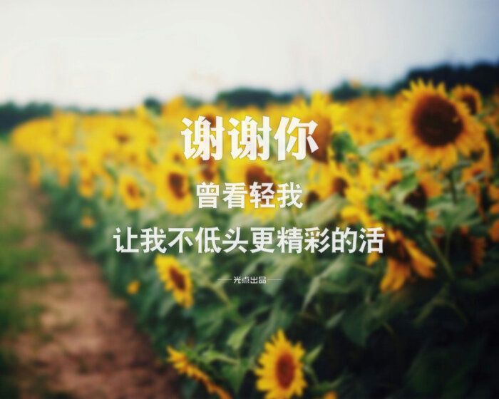 10月30日出生的人很可怕九月，天蝎座几号出生最厉害