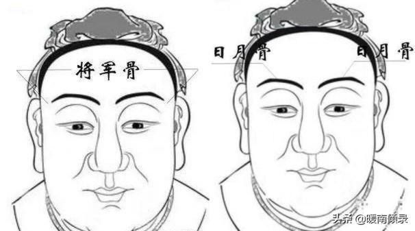 伏羲骨有几种图片，伏羲骨与凸额头区别
