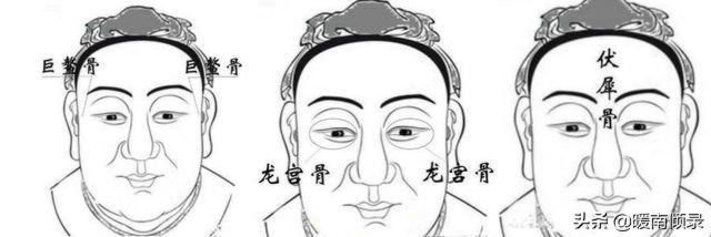 伏羲骨有几种图片，伏羲骨与凸额头区别