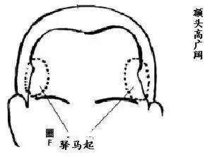 伏羲骨面相图解 女人，眉上双骨隆起,贵不可言