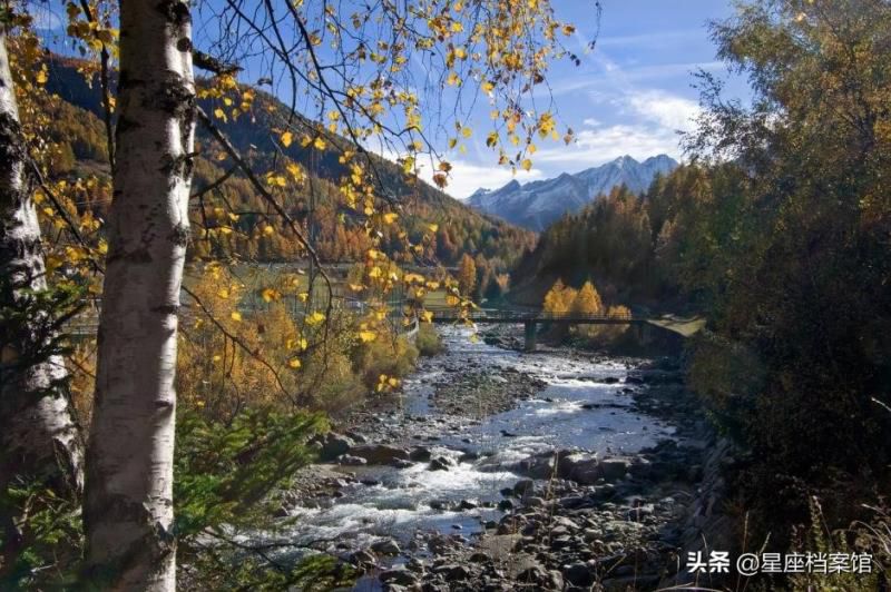 摩羯座和跟摩羯座谈恋爱合适吗，为什么说摩羯座是床上公务员