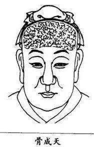 伏羲骨面相图解 女人，眉上双骨隆起,贵不可言