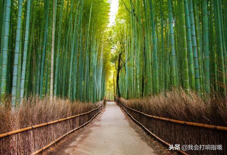 周公解梦：要是梦见了这件事，那还不赶紧趁机将要做的事情做完