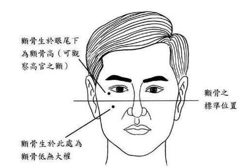 伏羲骨面相图解 女人，眉上双骨隆起,贵不可言