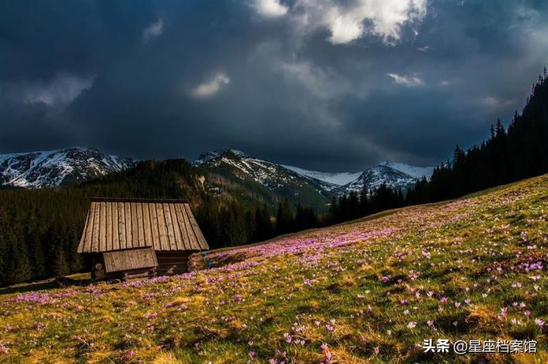 摩羯座和跟摩羯座谈恋爱合适吗，为什么说摩羯座是床上公务员