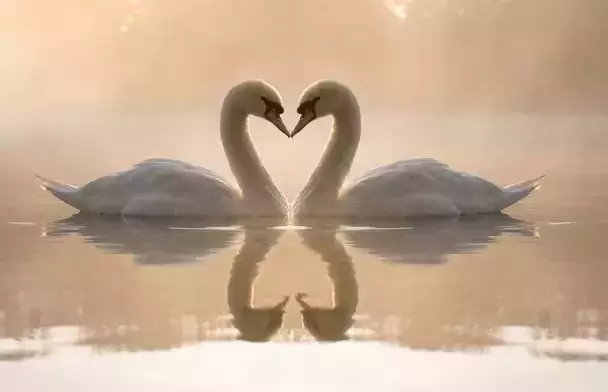 8月14日出生的人很可怕特殊吗，八月十四出生的命硬吗