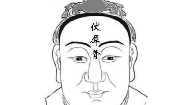 日月角骨很明显的人图片多吗，日月角骨很明显的人图片多吗，