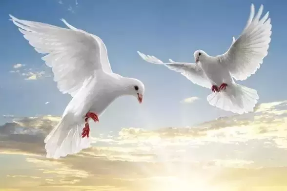 8月14日出生的人很可怕特殊吗，八月十四出生的命硬吗