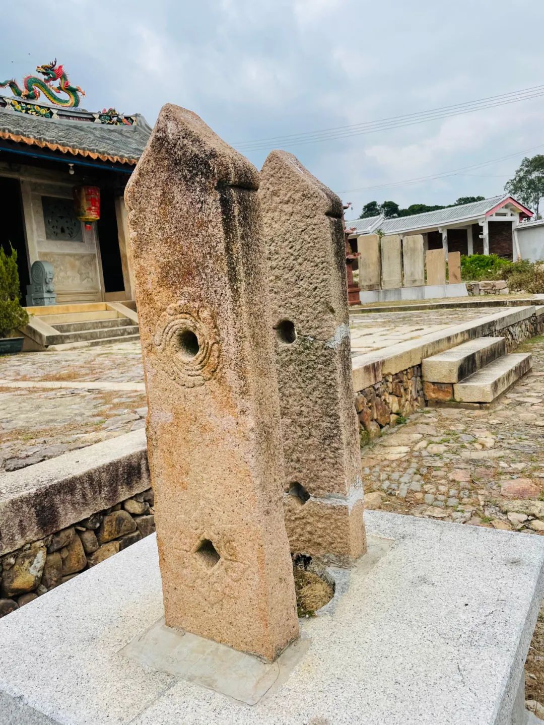 龙角骨和日月角的区别图片，标准龙角骨图片