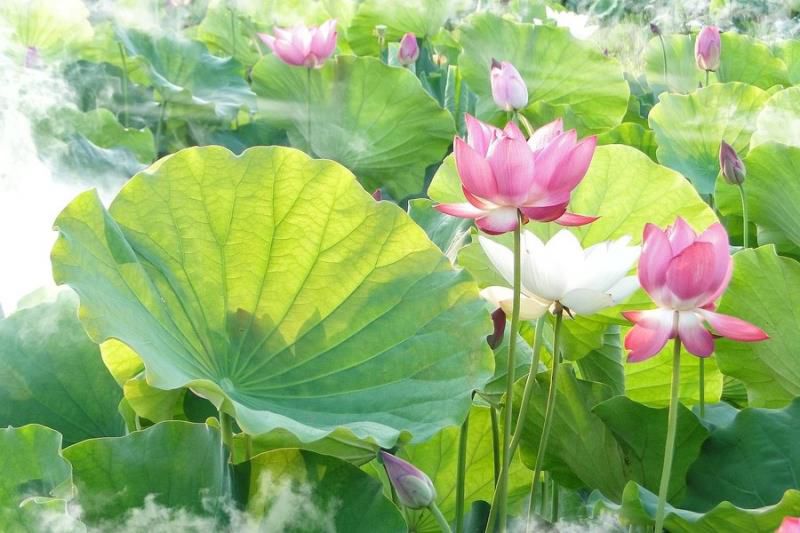 天蝎座今日运势查询，2022年天蝎座下半年太可怕了