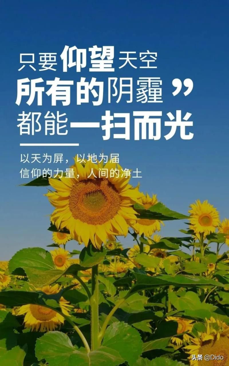 2022年5月28日黄道吉日查询，2022年5月29号黄道吉日查询