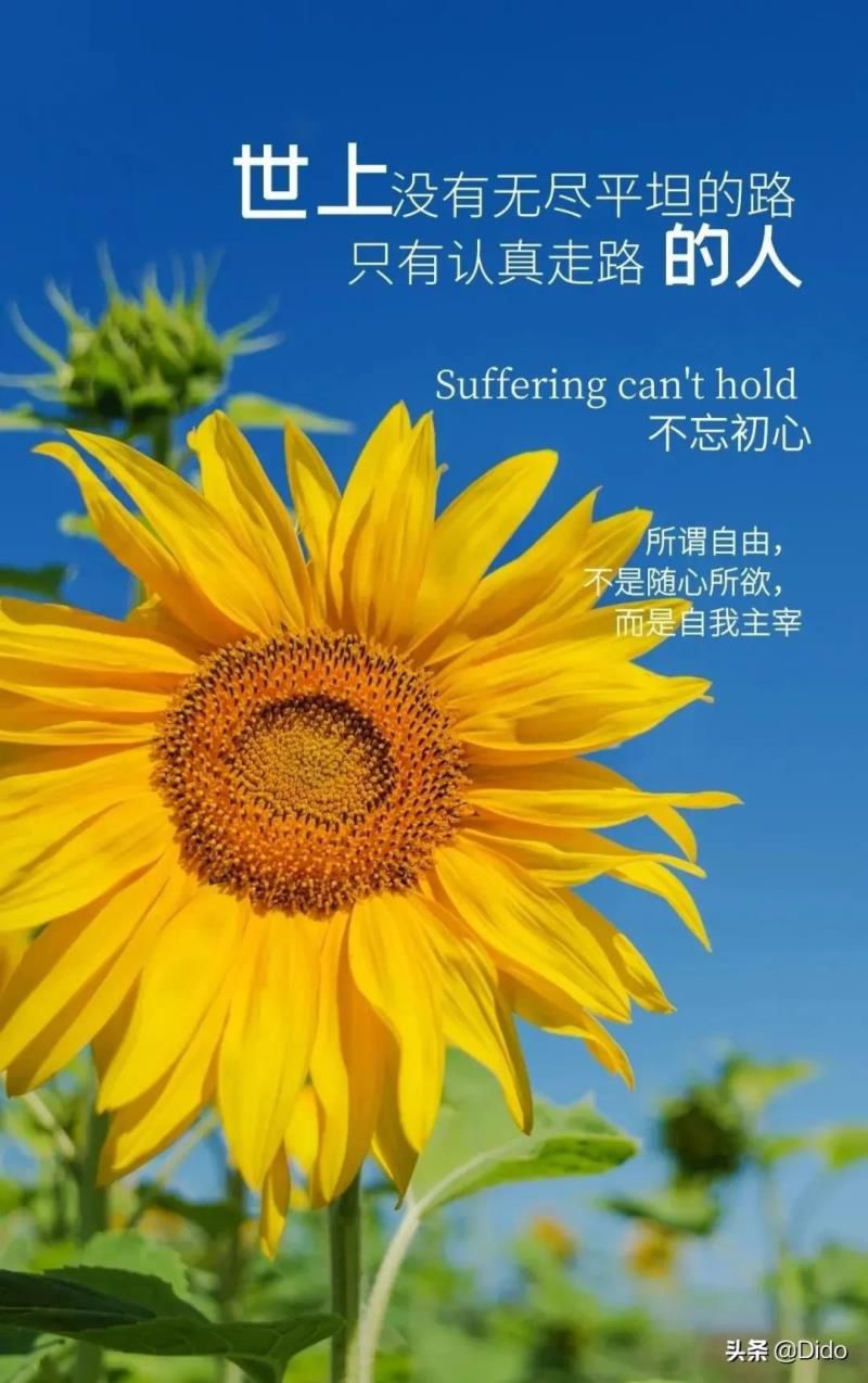 2022年5月28日黄道吉日查询，2022年5月29号黄道吉日查询