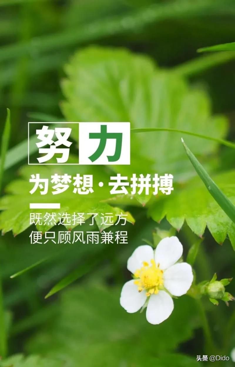 2022年5月28日黄道吉日查询，2022年5月29号黄道吉日查询