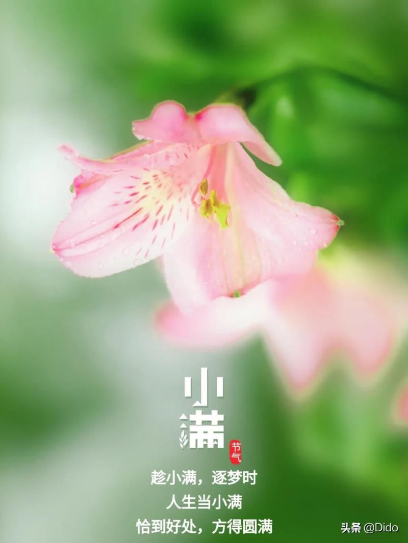阴历2022年5月21日黄历，2022年5月21日宜不宜结婚