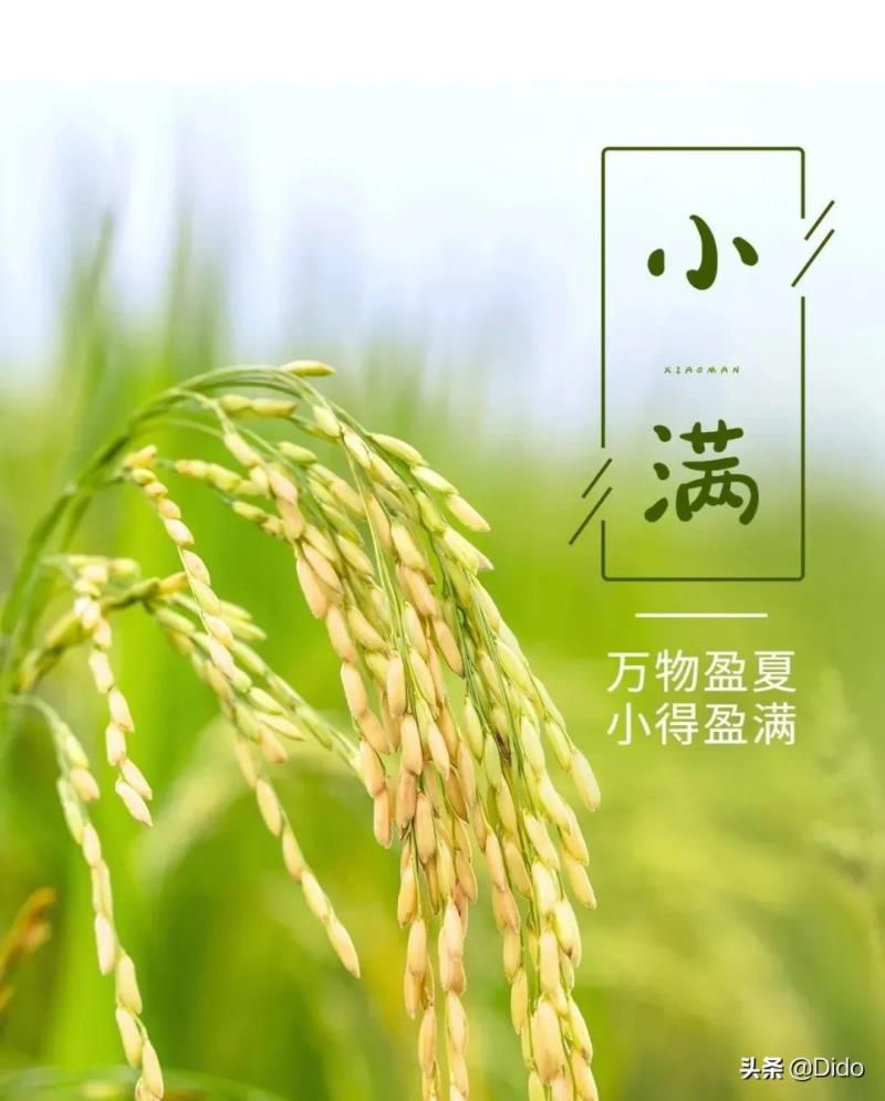 阴历2022年5月21日黄历，2022年5月21日宜不宜结婚