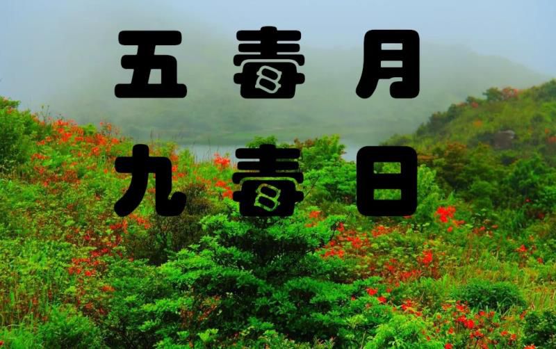 老祖宗说“五月九毒日，5月出生的女人命毒