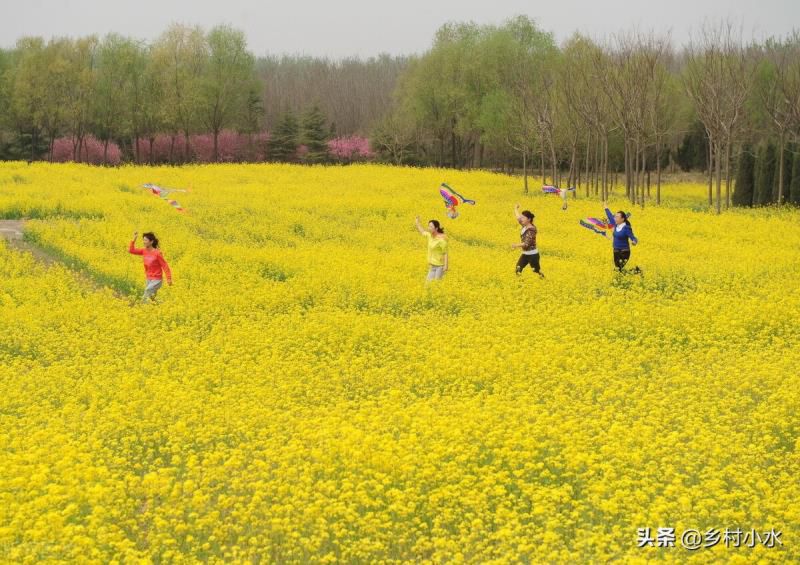 清明端午节有哪些习俗风俗和传统，清明节有哪些习俗