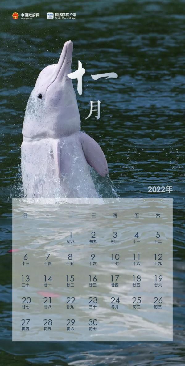 日历2022日历表，万年历老黄历2022年黄道吉日查询