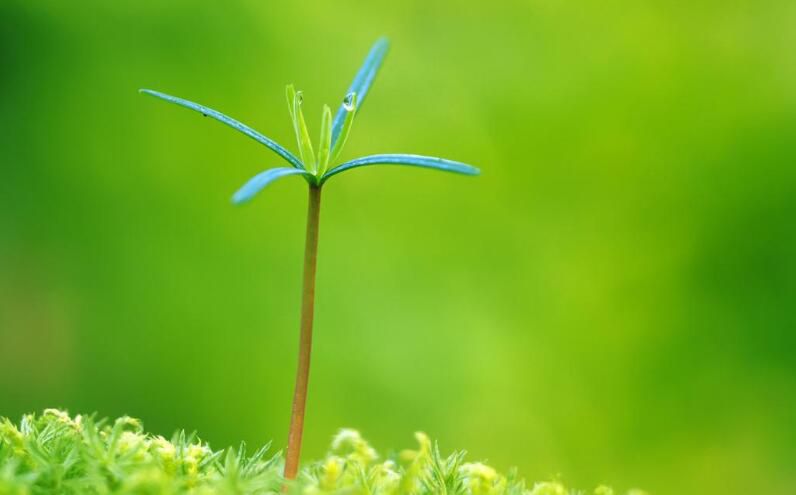 双鱼座6月运势2022年，2022双鱼座下半年太可怕了