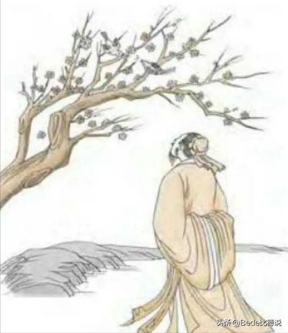 梅花诗预言详解2022，梅花诗最后三首的预言