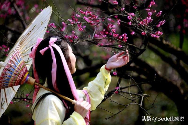 梅花诗预言详解2022，梅花诗最后三首的预言