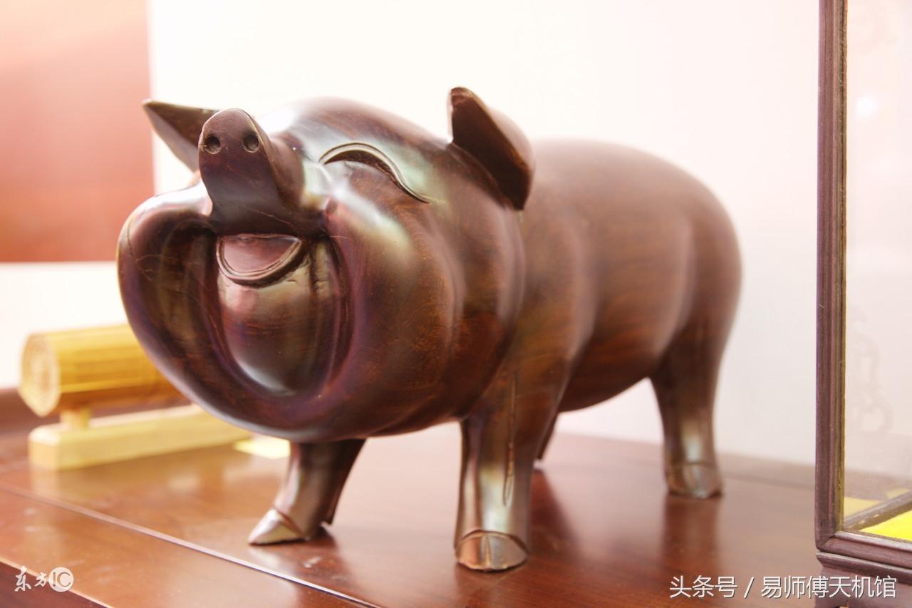 83年属猪39岁婚姻状况,2023年属猪要出大事 83年属猪39岁婚姻状况,2023年属猪要出大事