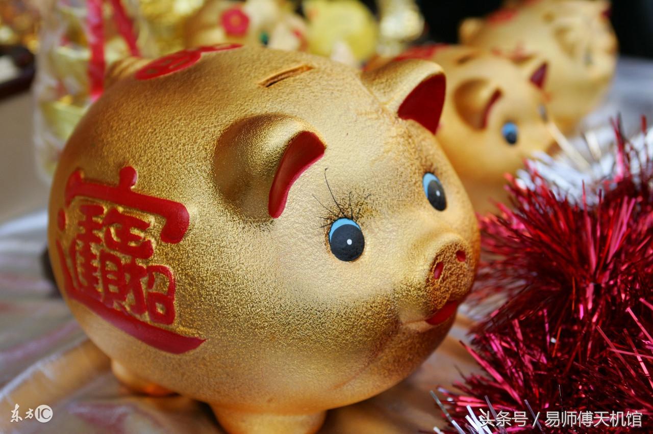 83年属猪39岁婚姻状况,2023年属猪要出大事 83年属猪39岁婚姻状况,2023年属猪要出大事