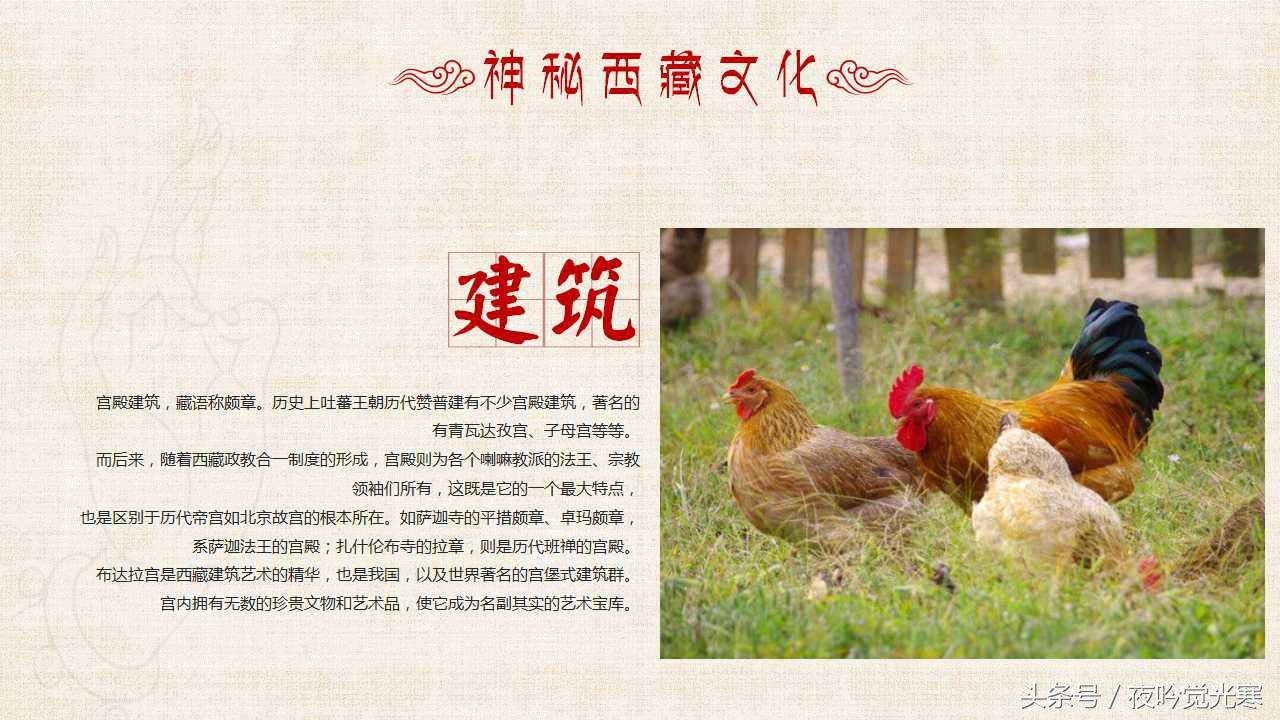 69年属鸡53岁命中注定2023,69年鸡女今年感情婚姻如何 69年属鸡53岁命中注定2023,69年鸡女今年感情婚姻如何