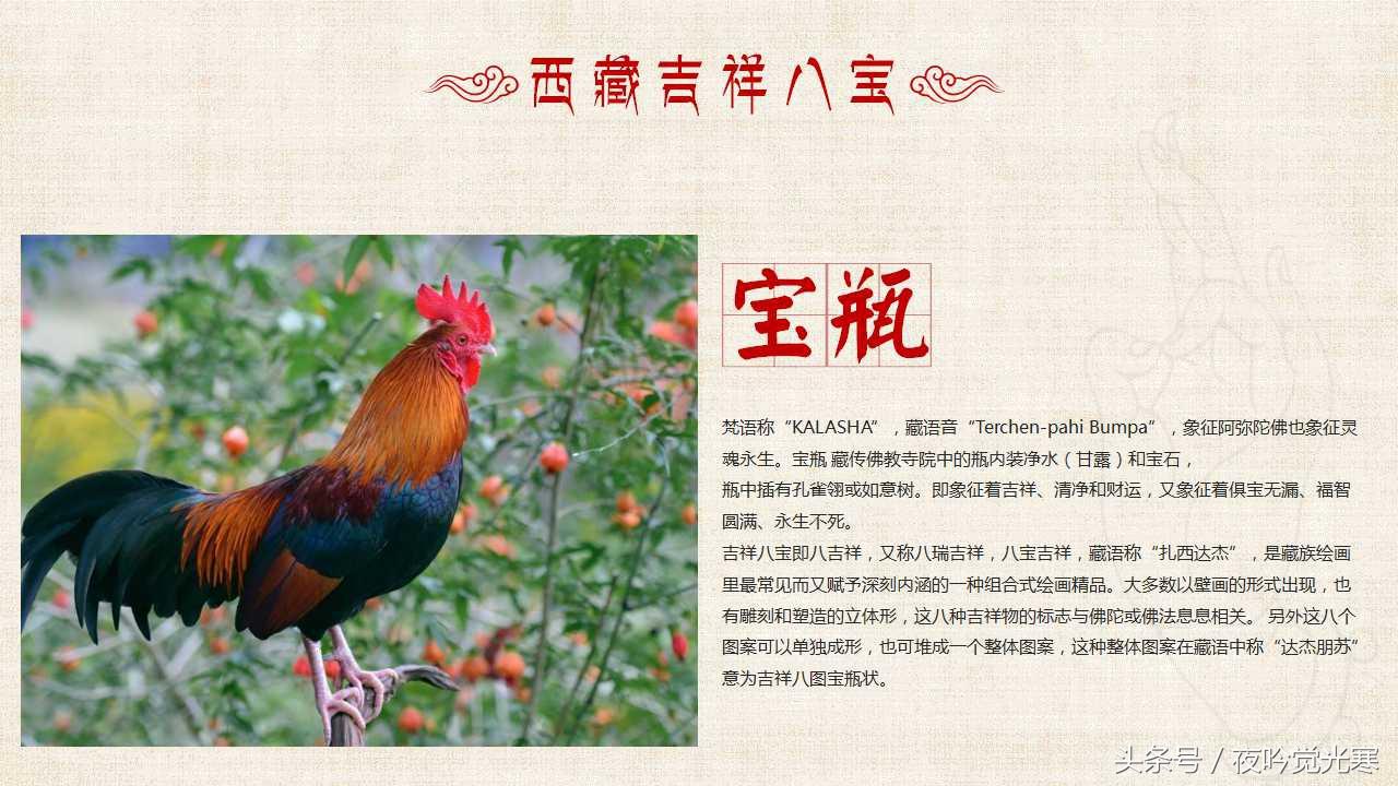 69年属鸡53岁命中注定2023,69年鸡女今年感情婚姻如何 69年属鸡53岁命中注定2023,69年鸡女今年感情婚姻如何