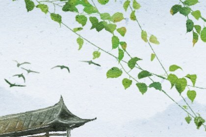 作梦梦见好多老鼠，女人梦到好多老鼠满地跑